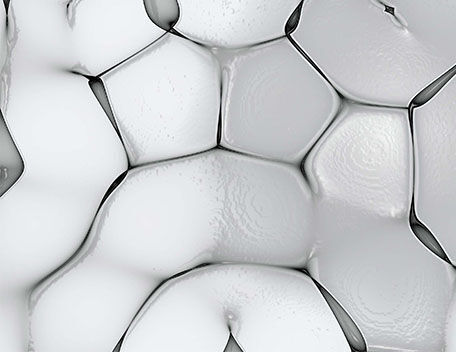 Paraben Free
