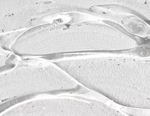 Gros plan sur une surface translucide et gelatineuse, avec des motifs fluides et des reflets subtils.