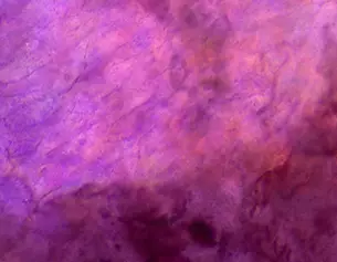 Abstrakte violette und lila Textur mit organischen Mustern, die an einem kunstlerischen Hintergrund erinnert.