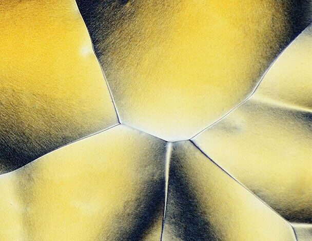 Nahaufnahme von gelblichen, geschwungenen Mustern, die an Schuppen oder eine abstrakte Oberflache erinnern.