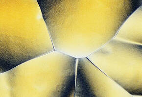 Nahaufnahme von gelblichen, geschwungenen Mustern, die an Schuppen oder eine abstrakte Oberflache erinnern.