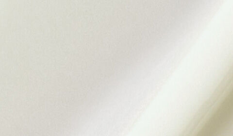 Abstract image featuring soft, flowing lines in shades of light cream against a pale background.