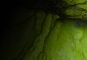 Close-up of a textured, green, organic surface, with subtle lighting highlighting its contours and imperfections.