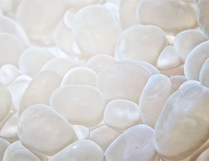 Des galets blancs aux reflets lumineux, disposes en un lit doux et homogene.