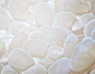 Des galets blancs aux reflets lumineux, disposes en un lit doux et homogene.