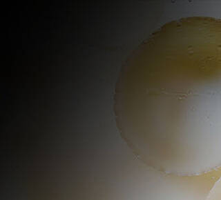 Antioxidant