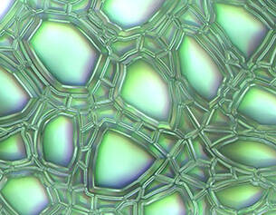 Texture lumineuse et irisee de bulles interconnectees, creant un motif abstrait en nuances de vert et de bleu.
