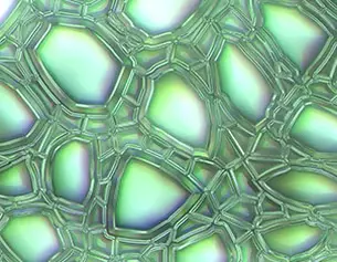 Texture lumineuse et irisee de bulles interconnectees, creant un motif abstrait en nuances de vert et de bleu.