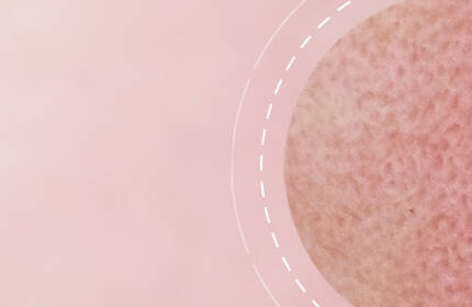 A close-up of a textured round object against a soft pink background, with subtle circular patterns around it.