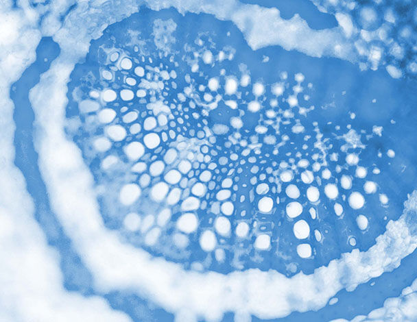 Texture abstraite en bleu, presentant un motif organique avec des cercles et des lignes delicates.