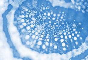 Texture abstraite en bleu, presentant un motif organique avec des cercles et des lignes delicates.