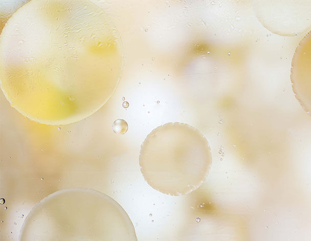 Transparente Blasen in einem weichen, hellen Hintergrund, der eine ruhige und organische Atmosphare schafft.