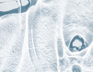 Image abstraite en nuances de blanc et de bleu, evoquant des textures glacees et des formes organiques.