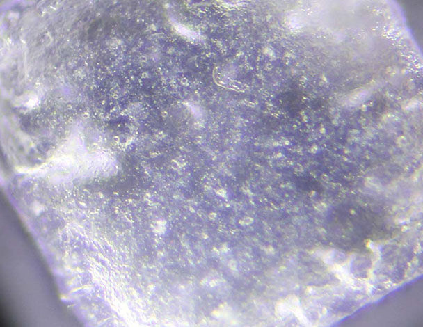 Close-up view of a transparent crystal with visible surface imperfections and bubbles, illuminated under microscope.