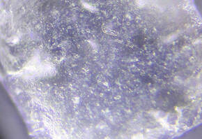 Close-up view of a transparent crystal with visible surface imperfections and bubbles, illuminated under microscope.