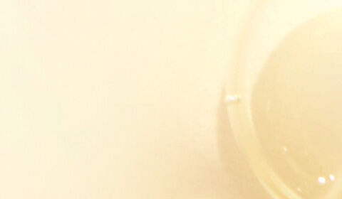 Abstract image featuring smooth, transparent bubble-like shapes set against a soft, light-colored background.