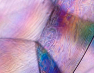 Close-up of colorful, iridescent patterns resembling soap bubbles, showcasing swirls of pastel shades.