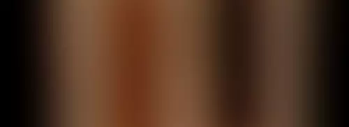 Texte alternatif : Une image avec des bandes verticales de differentes nuances de marron sur fond noir.