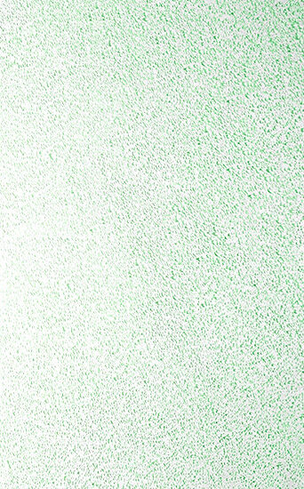 Phyto Corrective Essence Mist