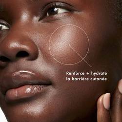 Phyto Corrective Essence Mist
